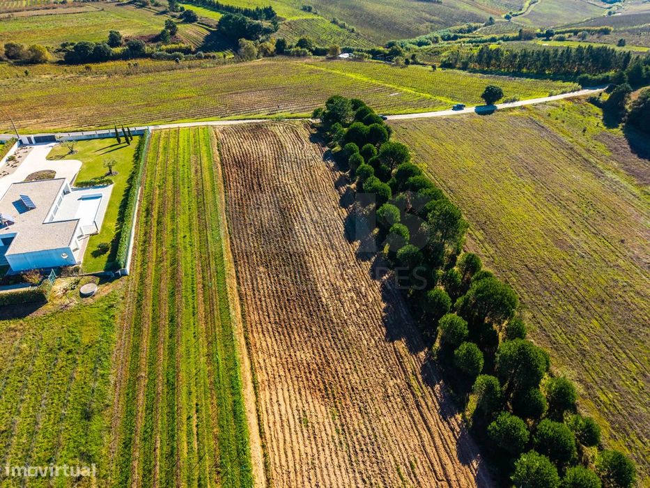 Terreno de 7240m2 com vista deslumbrante para a Serra do Montejunto — Carvalhal, Leiria