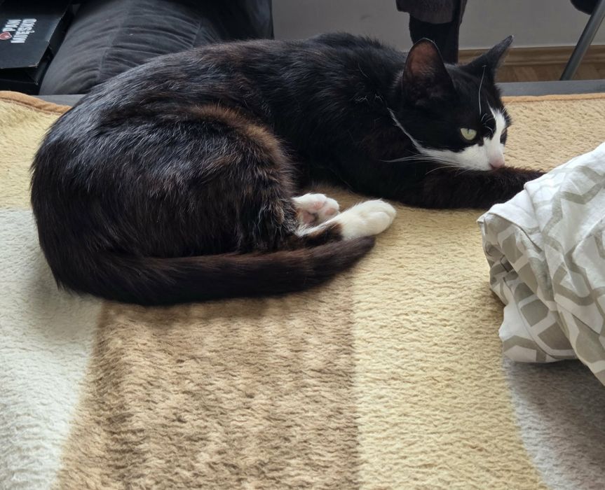 PILNIE! Lola i Kaja szukają wspólnego domku