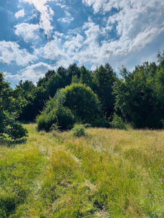 Продаж земельної ділянки, Косів, вул.Павлика. БЕЗ КОМІСІЇ (біля лісу)