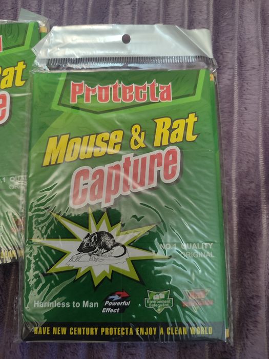Lep na myszy 4 sztuki