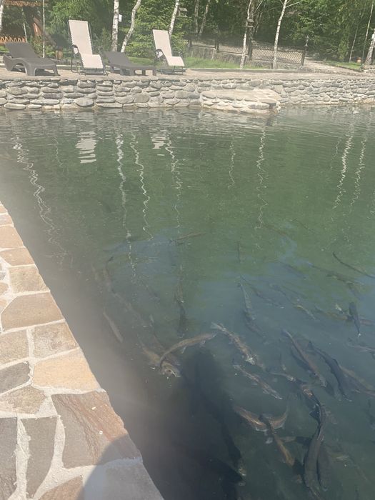 Затишний будинок «Ждимир»