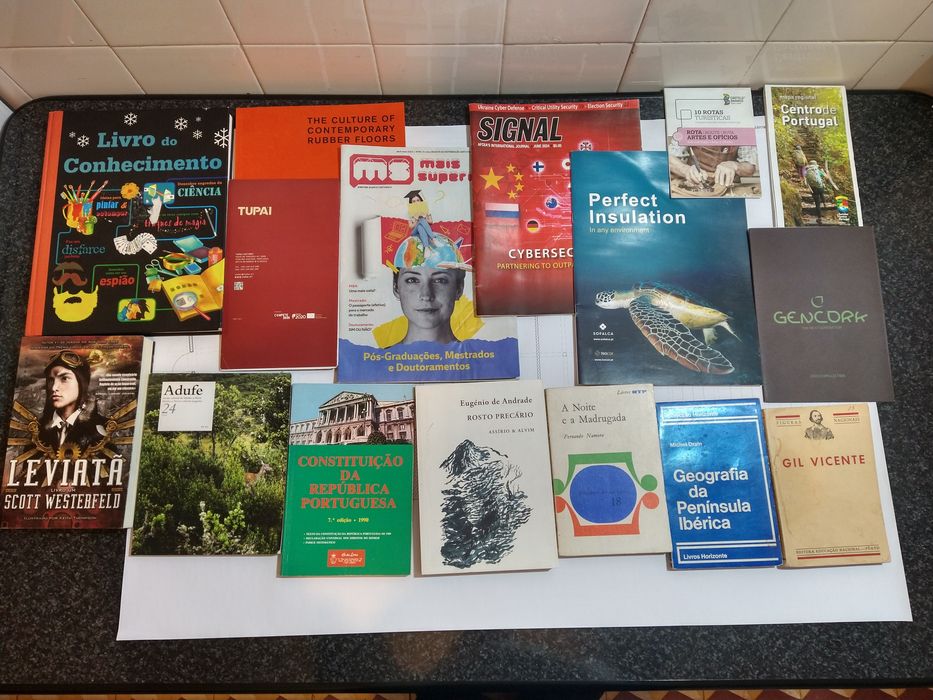 Livros diversos e revistas