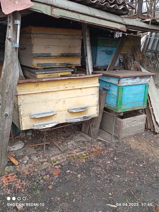 Вулики-лежаки для бджіл