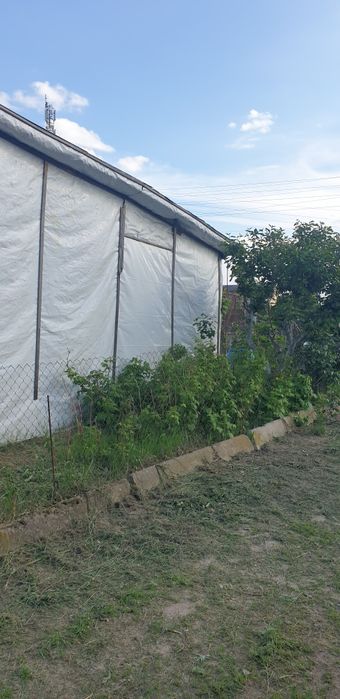 Ділянка 18,5 сот поруч з лісом, пилорама, госп.будівлі,с. Сінгури