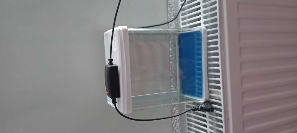 Mini akwarium dekoracyjne LED 11 × 18 × 21 cm, podświetlane
