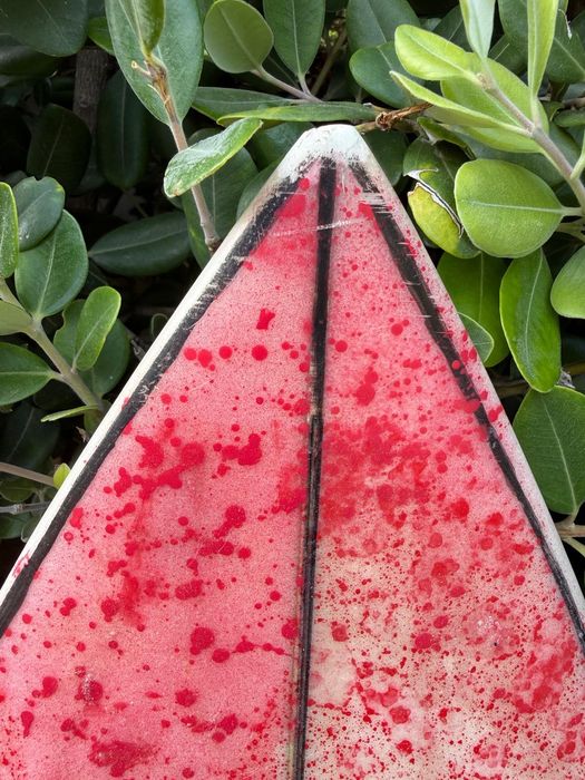 Profesional surfboard