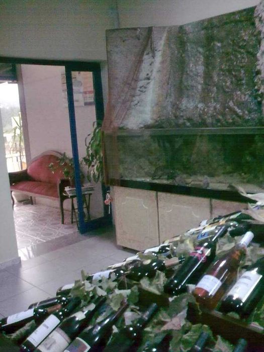 Aquário com cascata