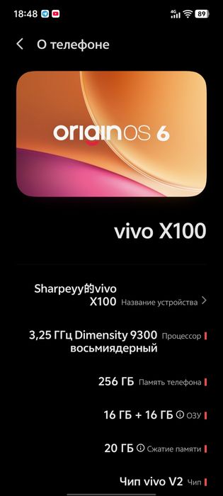 Vivo x100 16/256