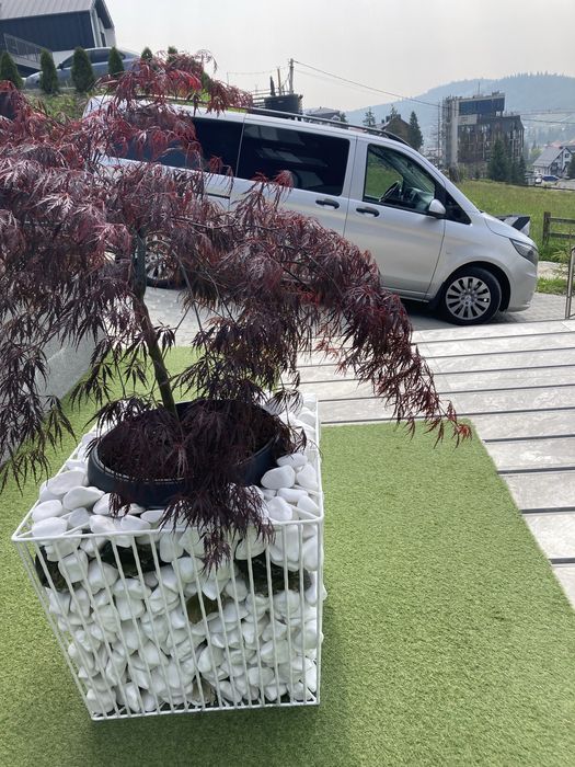 Аеропорти Румунії:Сучава, Бухарест,Яси! Індивідуальні тури по Європі!