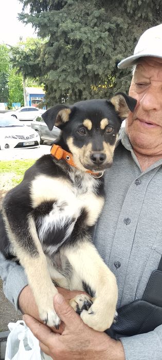 Дівчинка Розочка пів року
