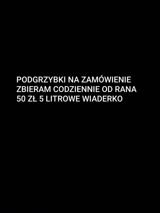 Grzyby podgrzybki na zamówienie