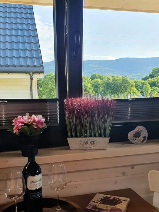 Domki do wynajecia Kotlina Kłodzka/Polanica-Zdrój/Stara Łomnica 72G