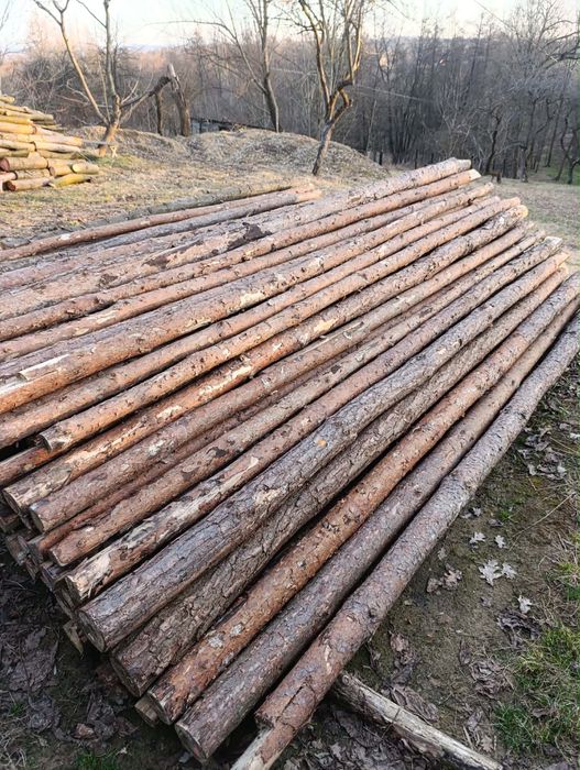 Stemple budowlane sosnowe