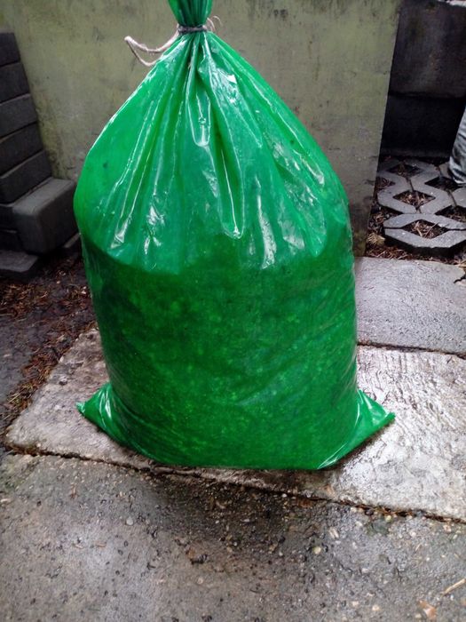 Obornik przepiórczy (najmocniejszy) 8-10 razy mocniejszy od końskiego