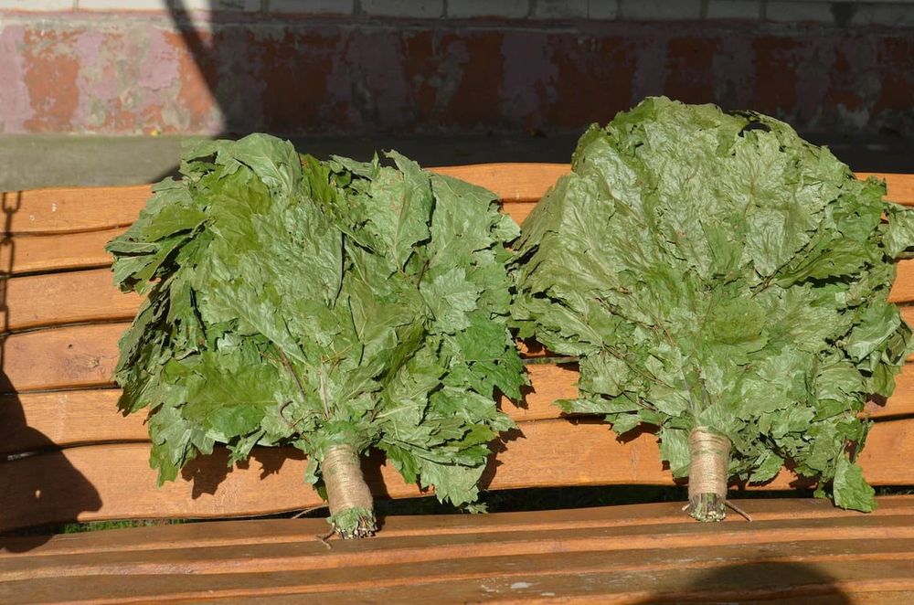 Банні віники дуб береза евкаліпт травяні віники бамбук якинка запарник