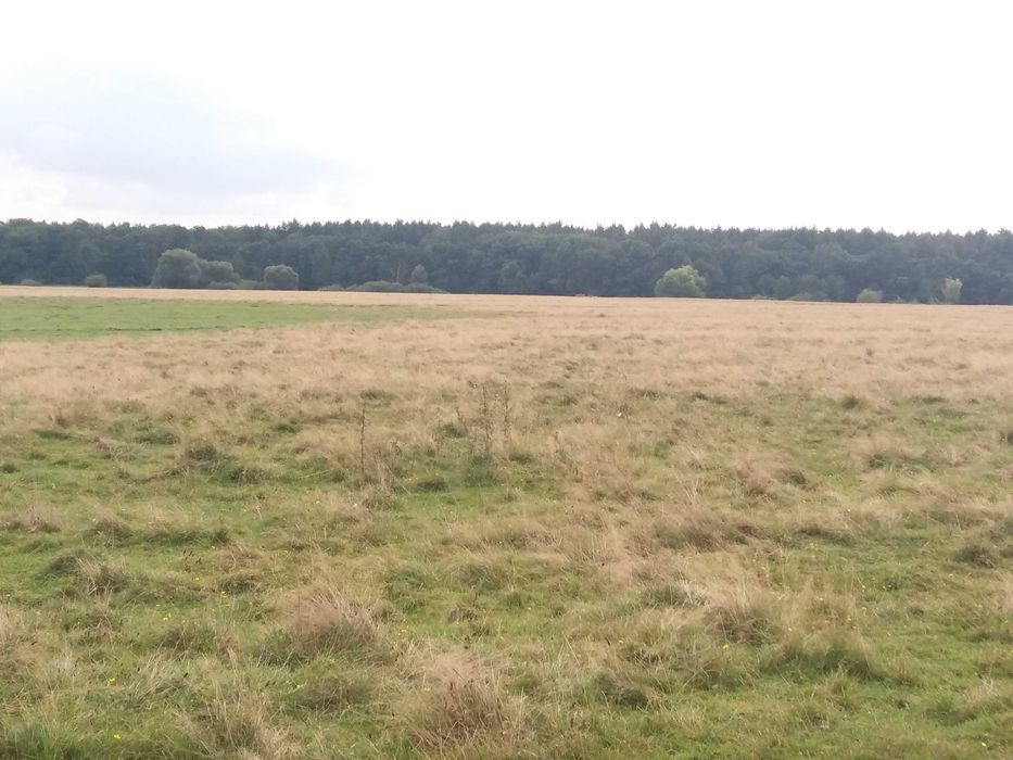 Продажа ділянки біля лісу під забудову