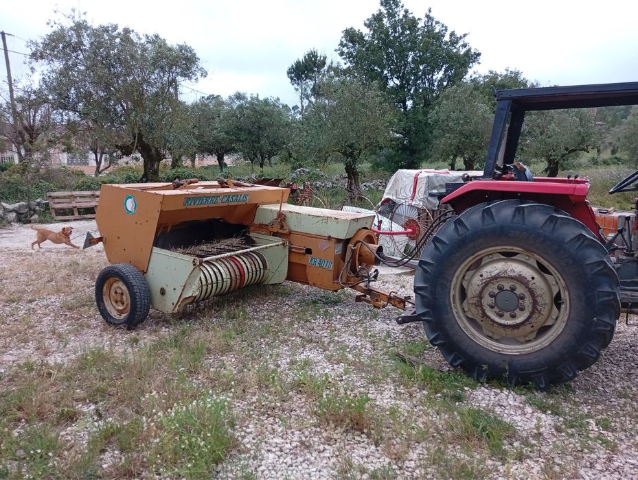 Fardos de feno nascedico