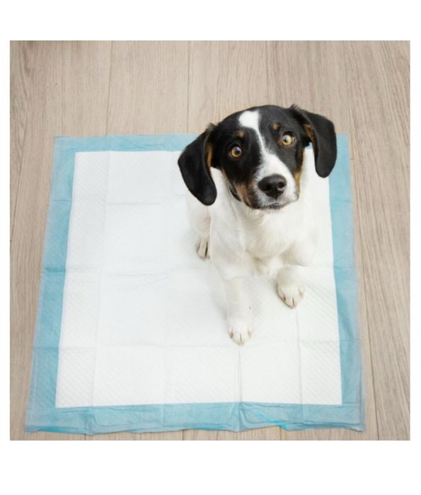 Пелюшкі для лотків собак, котів та інших тварин 60*40см=100 шт