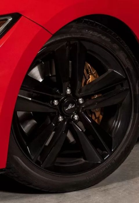 Ford Mustang — Recaro | Brembo | Cobb Stage 2