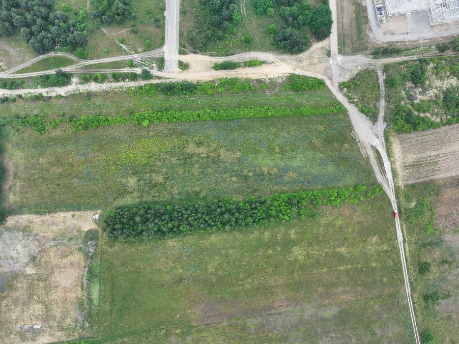 Działka rolna Budziechów