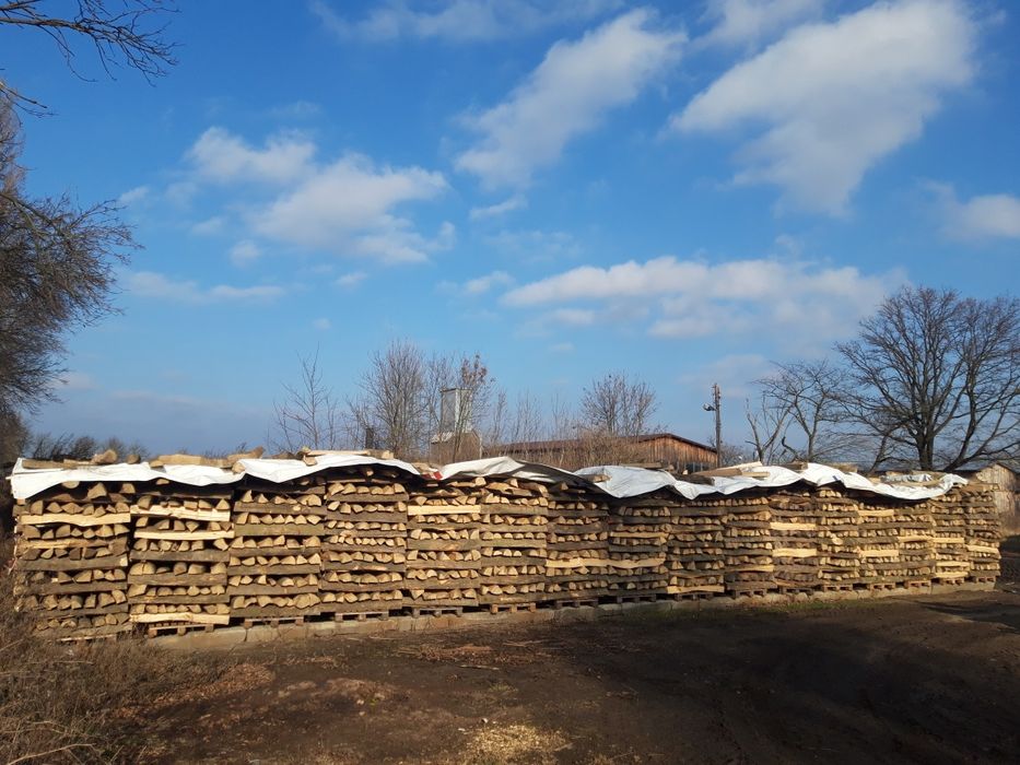 SUCHE Drewno kominkowe GRAB, BUK, DĄB, BRZOZA Drewno opałowe