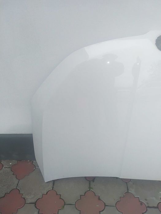 Капот та крило шкода