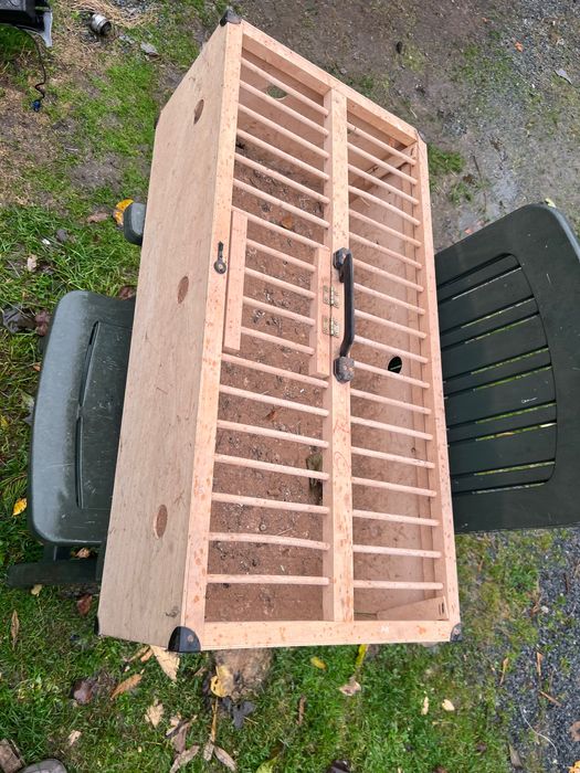 Klatka na gołębie kury