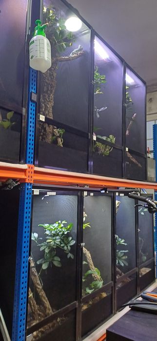 Terrário de rede alto