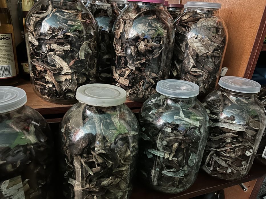 Сушені гриби топольові гриби (підберезовики, червоноголовики)