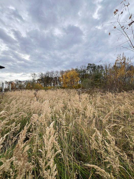 Продаж фасадної ділянки під забудову 10 сот біля Львова с. Зимна Вода