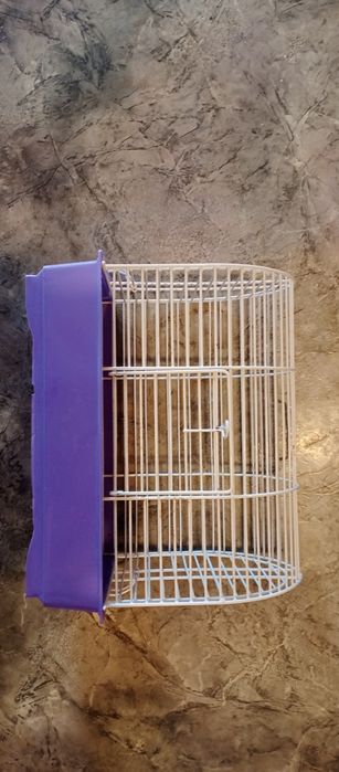 Клітка для гризунів