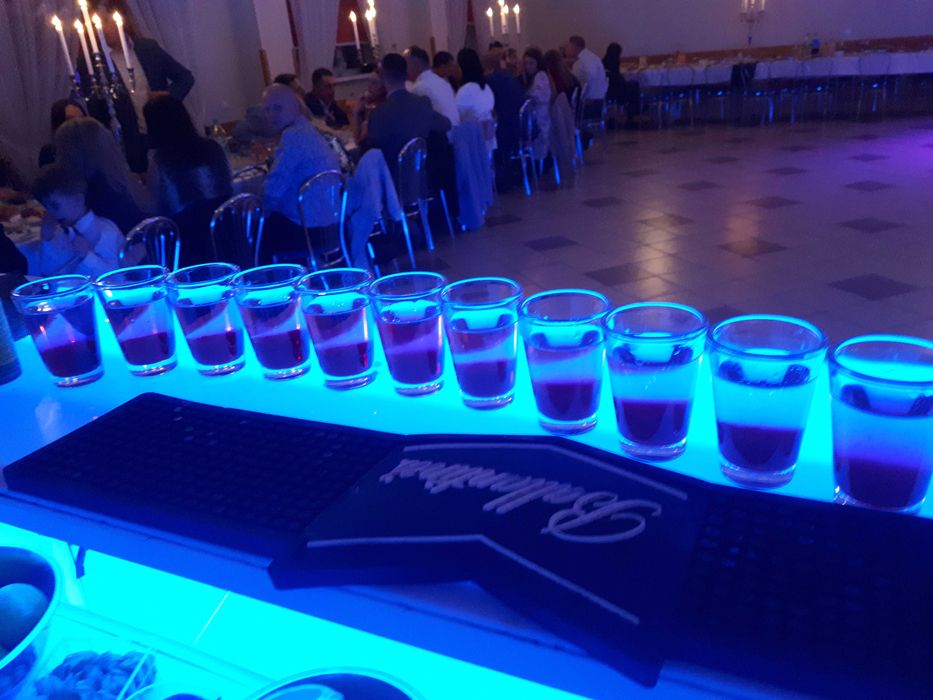 Obsługa Barmańska/ Mobilny Drink Bar