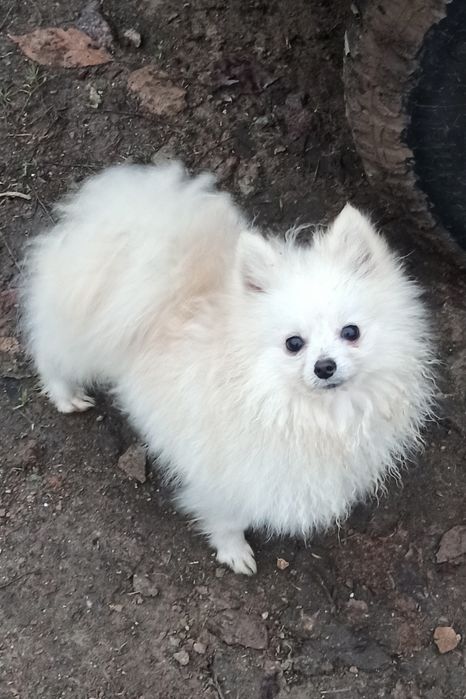 Мальчик 2 кг..1 год