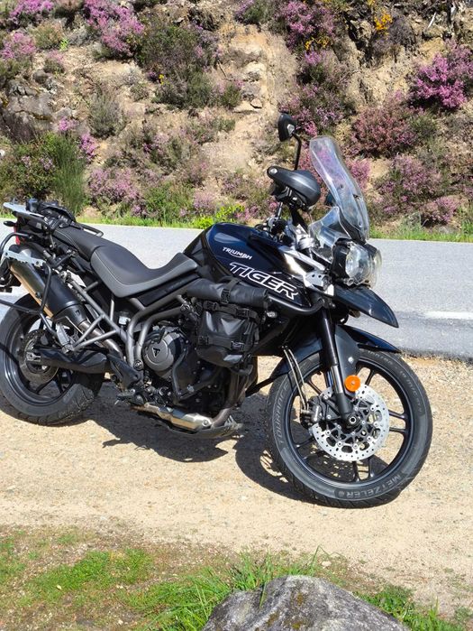 Tiger 800 full extas