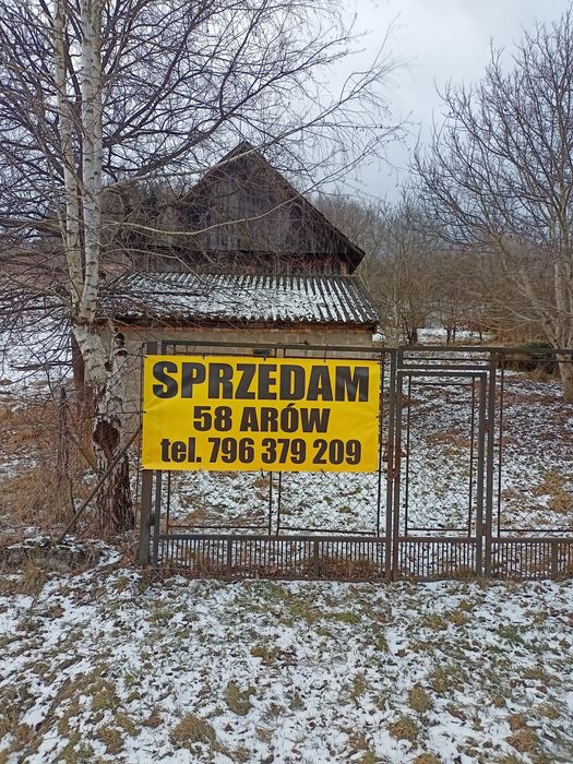 Zdjęcie 3