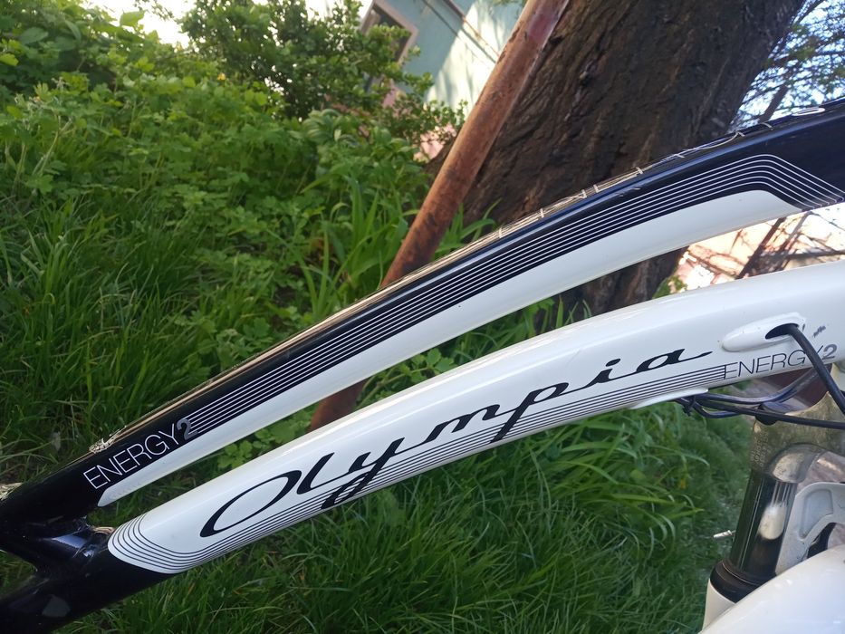 Електро велосипед Olympia Energy two