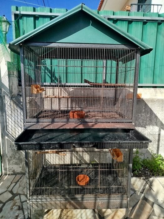 Gaiola para pássaros exterior (Usado) - Vendo