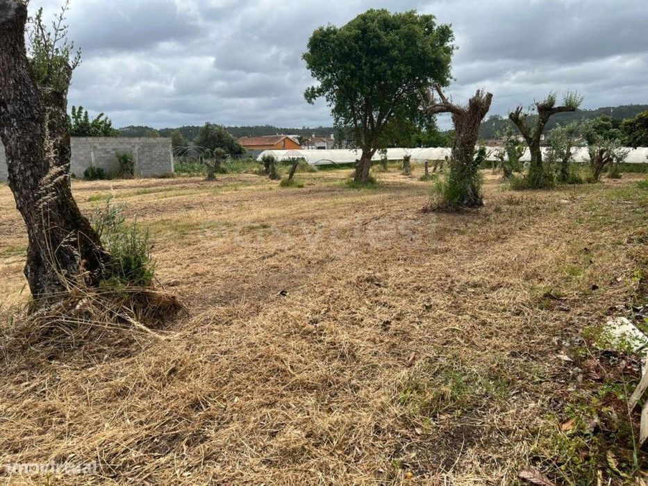 Terreno com 915m² para construção de Moradia - Ortigosa