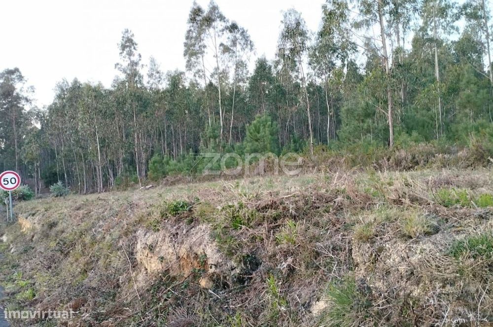 Terreno Rústico à Venda – Vila Nova de Anços 4.100m2