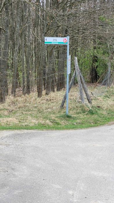 sprzedam las mieszany z mediami . - Vaizdas 5