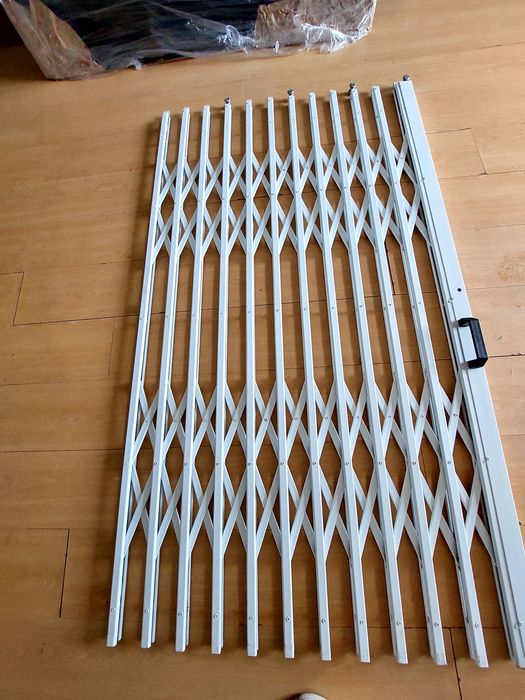 2 Window Lizards. Dimensions: 2.50×1.6064552024614787120