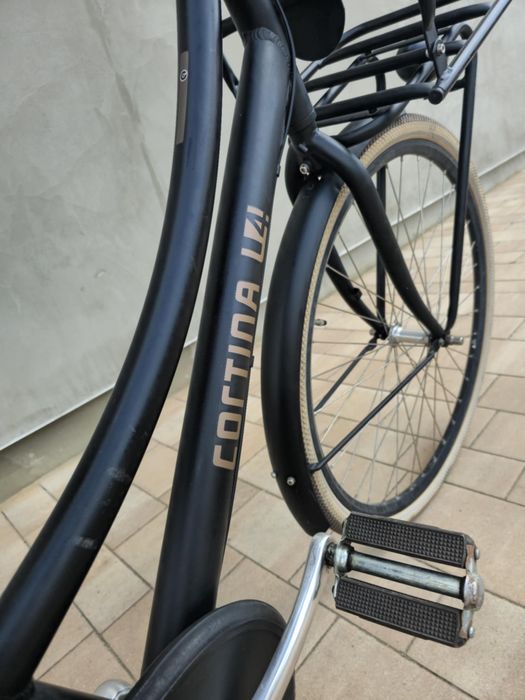 Holenderka Cortina L4