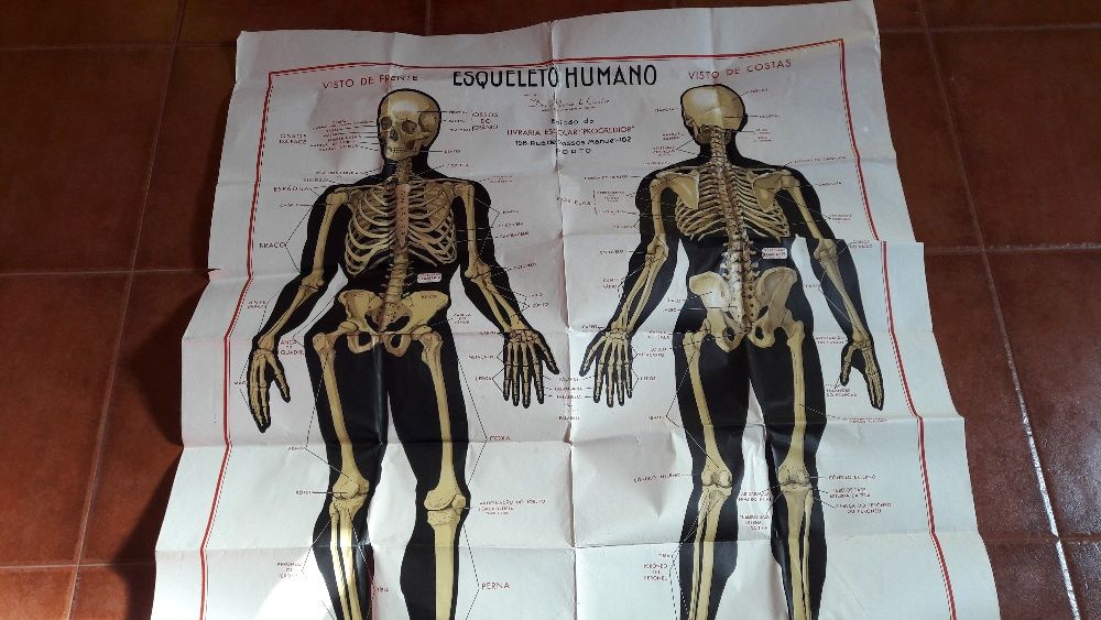 Cartaz escolar de 1960 (65 anos)