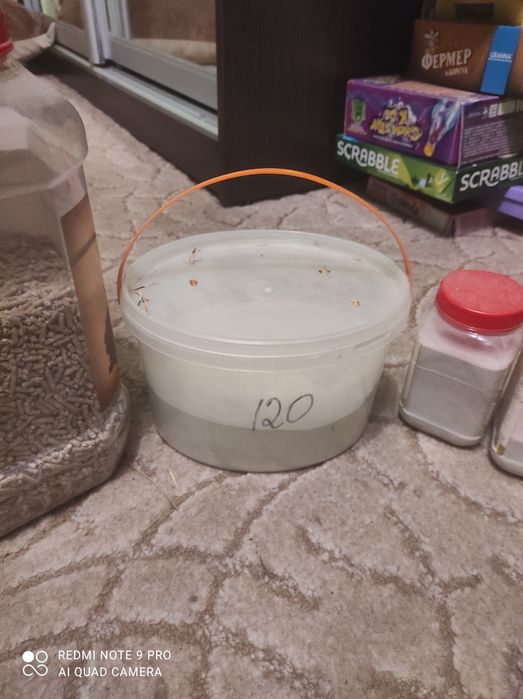 Палочки фруктові для гризунів, пісок, пил, корм для гризунів