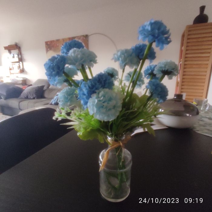 Vários artigos de decoração