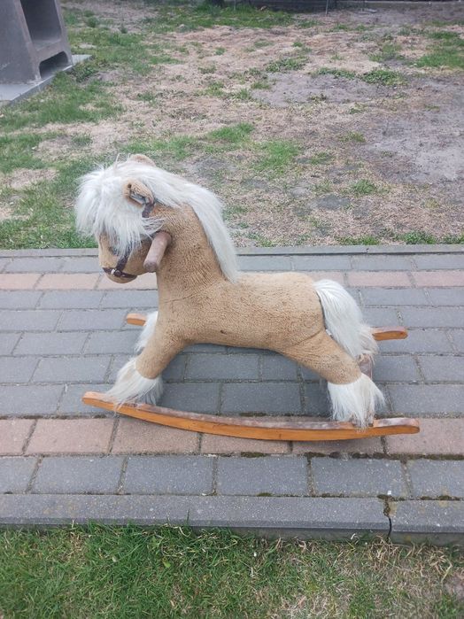 Konik na biegunach