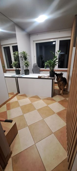 Do wynajęcia, lokal, pomieszczenia, warsztat