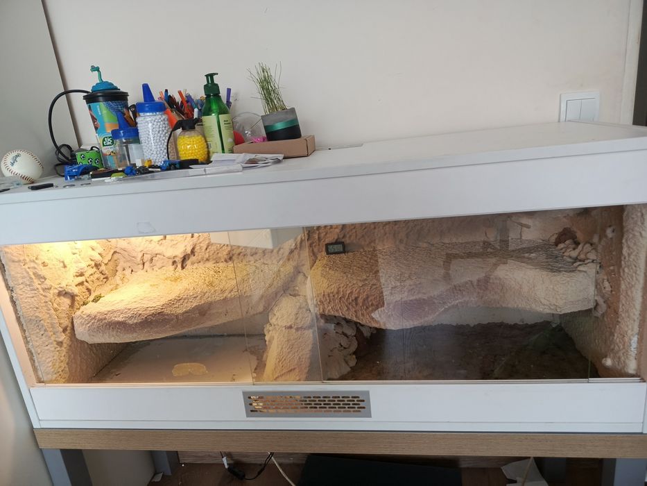 Terrarium gady agama 41cmx120cm 60 cm wys