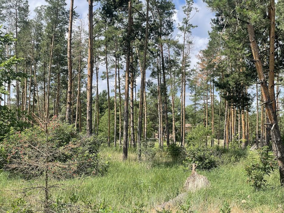 Продам участок с прямым выходом к воде Riviera Village Лебедевка земля