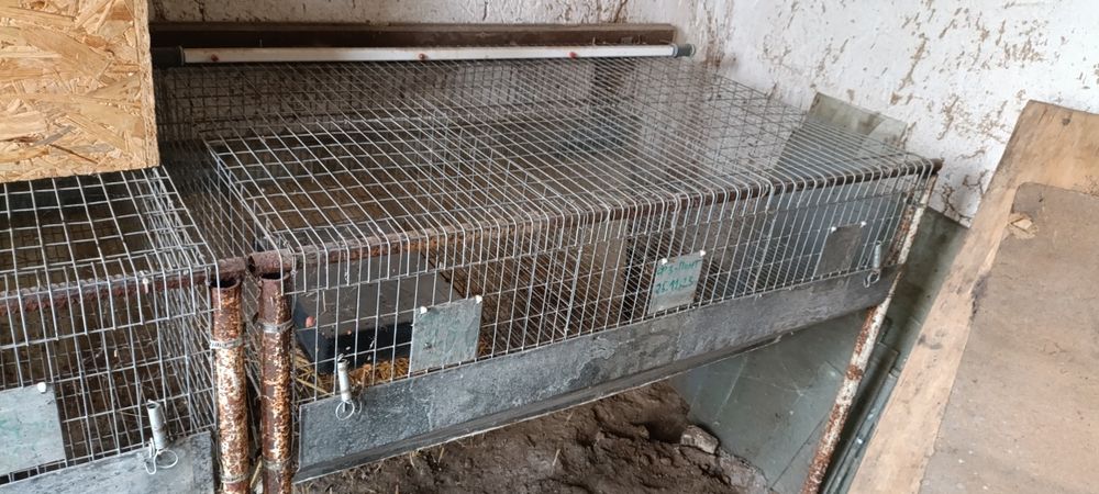 Продам мини кролеферму